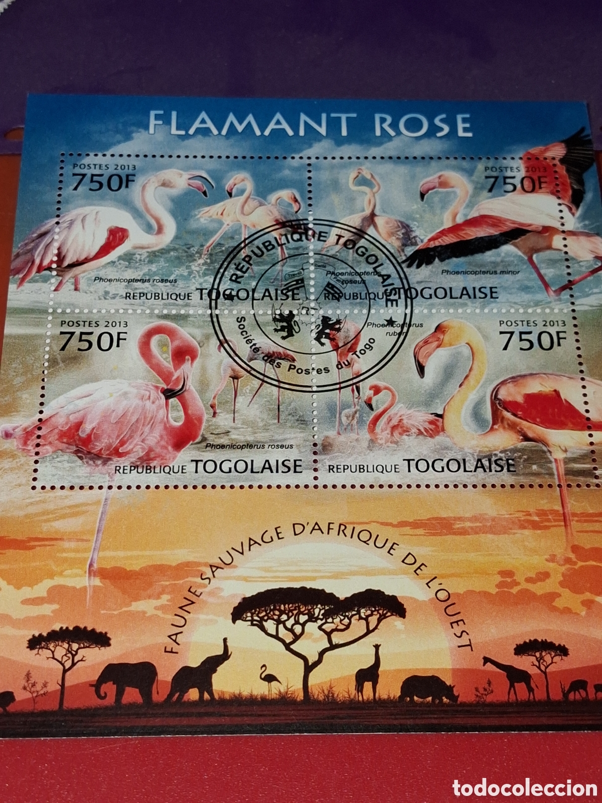 Sellos: HB Togo mtdo 2013. Flamenco rosa. Aves. P&aacute;jaros. Fauna. Animales acu&aacute;ticos. Naturaleza.