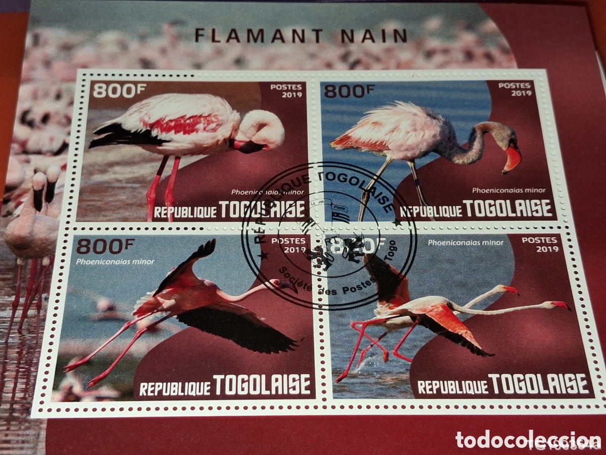 Sellos: HB Togo mtdo 2019. Aves acu&aacute;ticas. P&aacute;jaros. Fauna. Flamenco enano. Naturaleza.