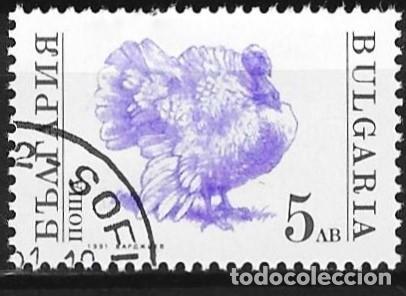 Sellos: Bulgaria 1991 - Mi 3884 - YT 3361 - Fauna : Ave, el pavo