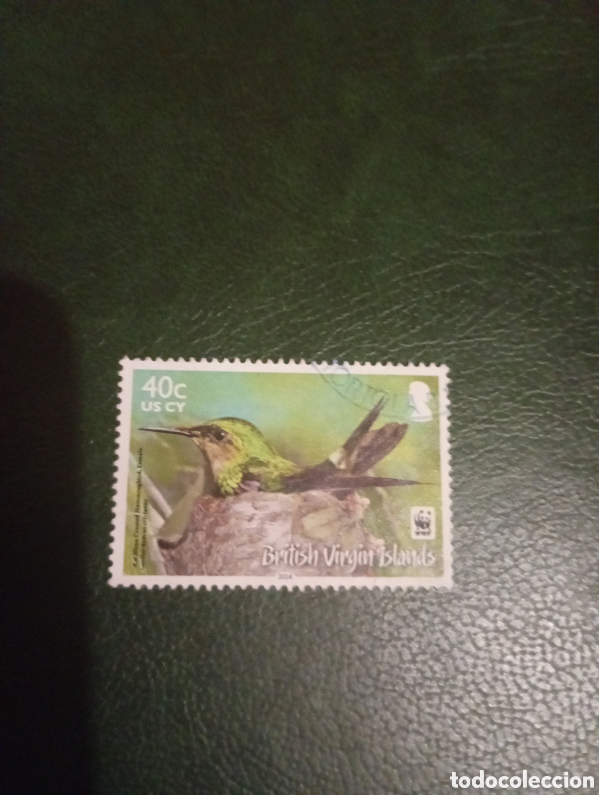 Sellos: Virgin Islands SG1281 aves p&aacute;jaros