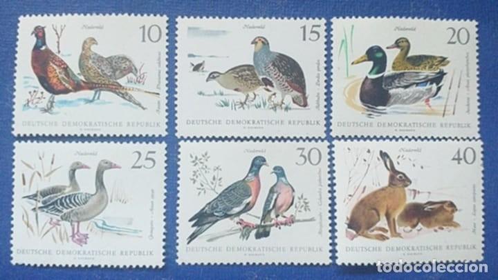 Sellos: Sellos Tema Aves Alemania DDR. 1968 1053/58 6v. Nuevos