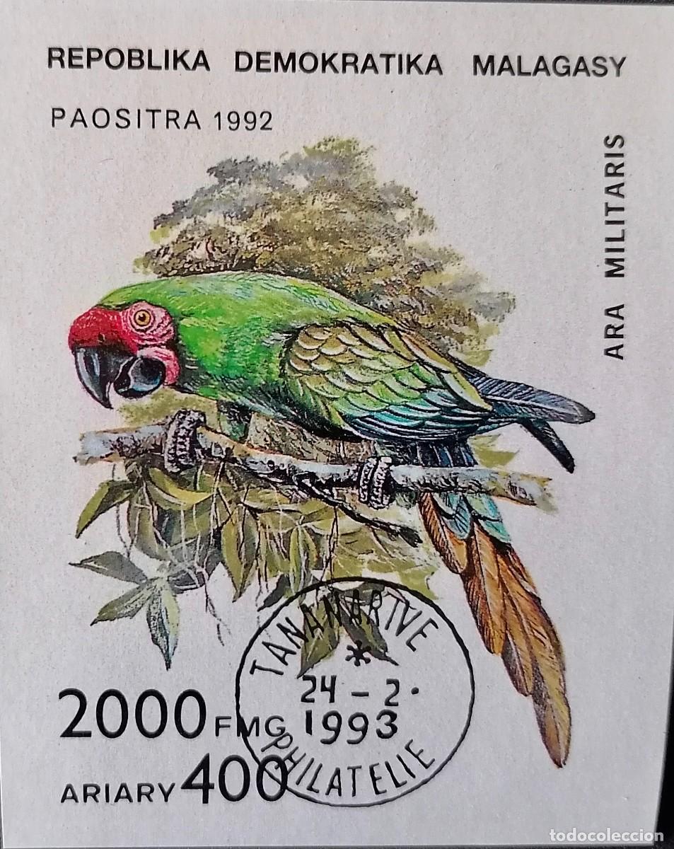 Sellos: MADAGASCAR 1993 - HB GUACAMAYO .