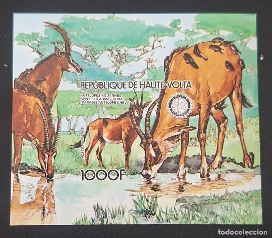 Sellos: Alto Volta 1984 Mi. Bl. 87 ND ant&iacute;lopes ruanos koba Rotary fauna
