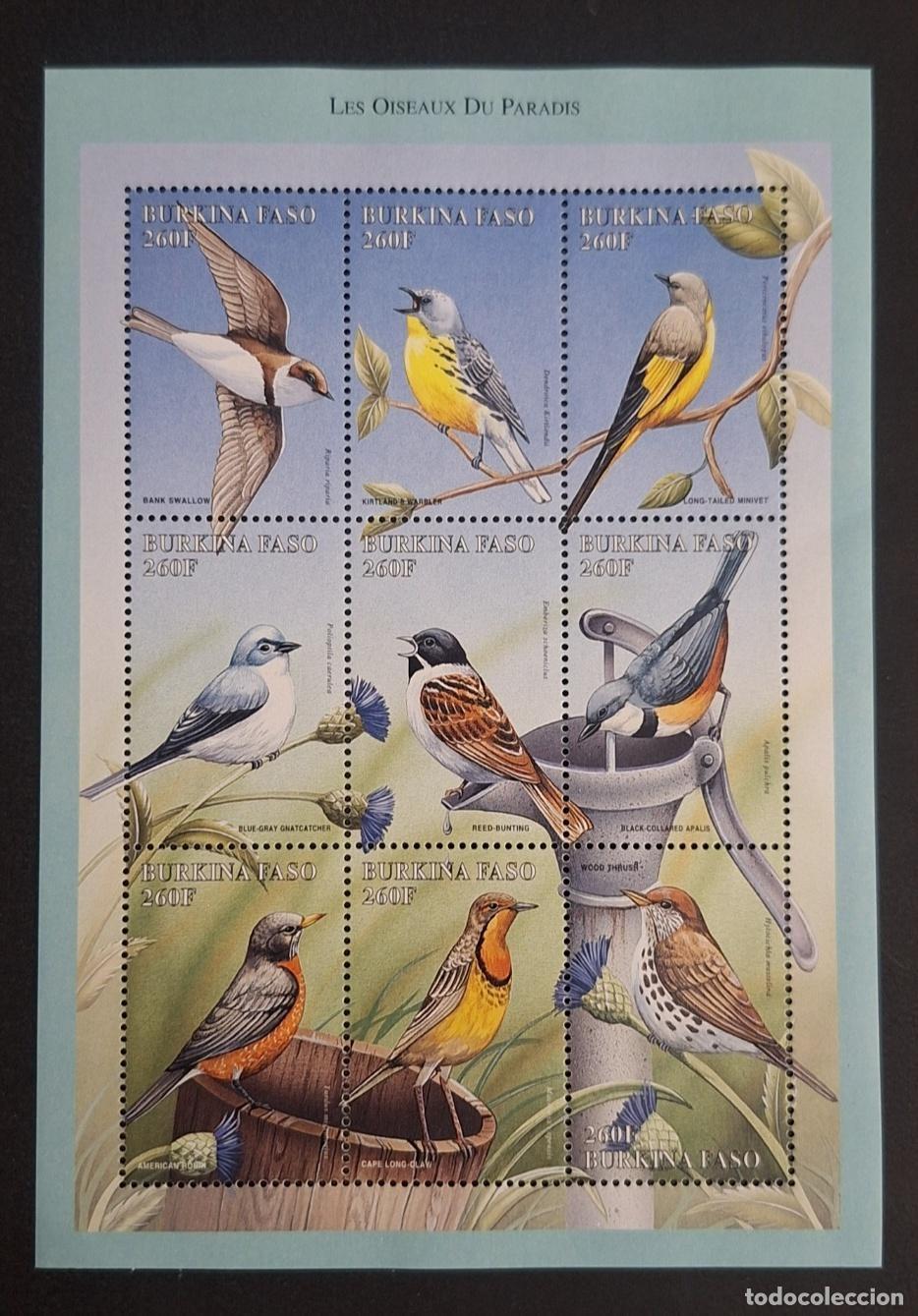 Sellos: Burkina Faso 1998 Mi. 1551-1559 aves del para&iacute;so golondrina zorzal