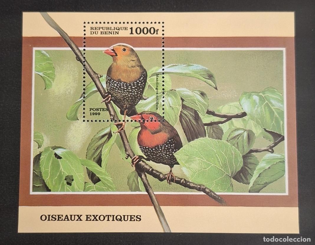 Sellos: Ben&iacute;n 1999 Mi. Bl. 45 Aves ex&oacute;ticas Mandingoa nitidula fauna