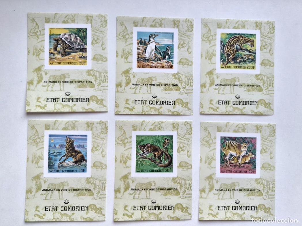 Sellos: Comoras 1977 Mi. Bl. 77-82 ND animales amenazados tortuga ping&uuml;ino fauna