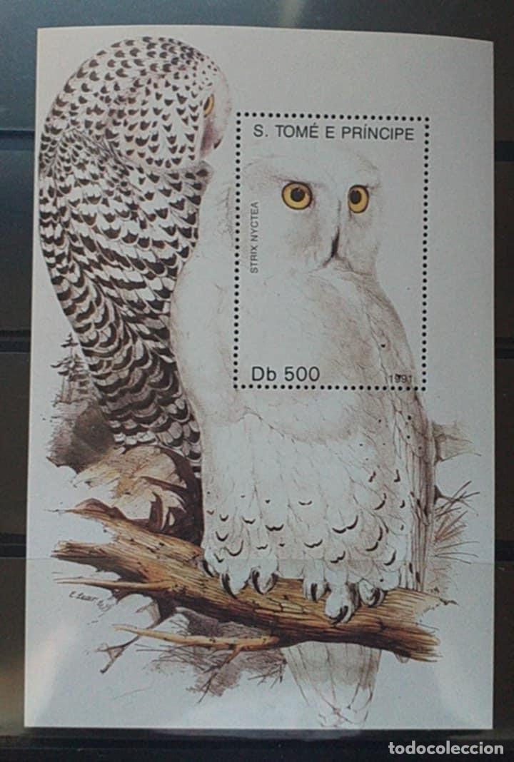 Sellos: Santo Tom&eacute; y Principe 1991 Tema Fauna Aves HB 1v. Nuevo