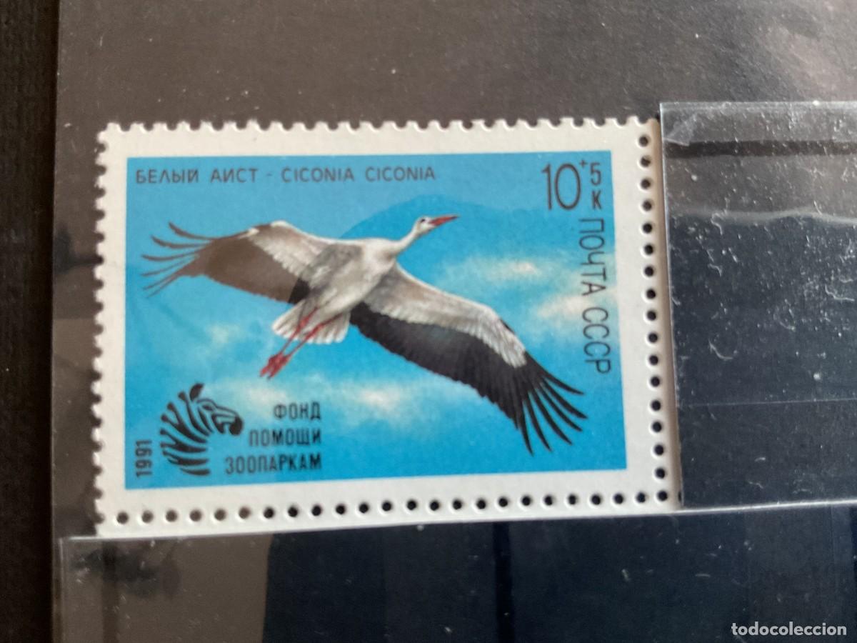 Sellos: RUSIA N&ordm; YVERT 5829*** A&Ntilde;O 1991. AYUDA A ZOOS DE LA URSS. CIGUE&Ntilde;A, CICONIA CICONIA