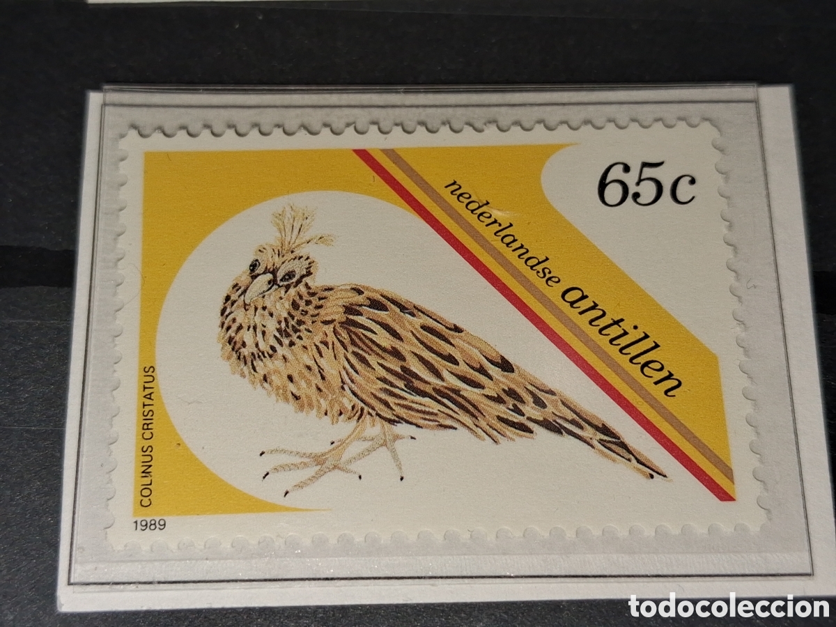 Sellos: Sello (1/2v) Antillas Holandesas nuevo 1989. Fauna. Aves. P&aacute;jaro. Perdiz cretada.