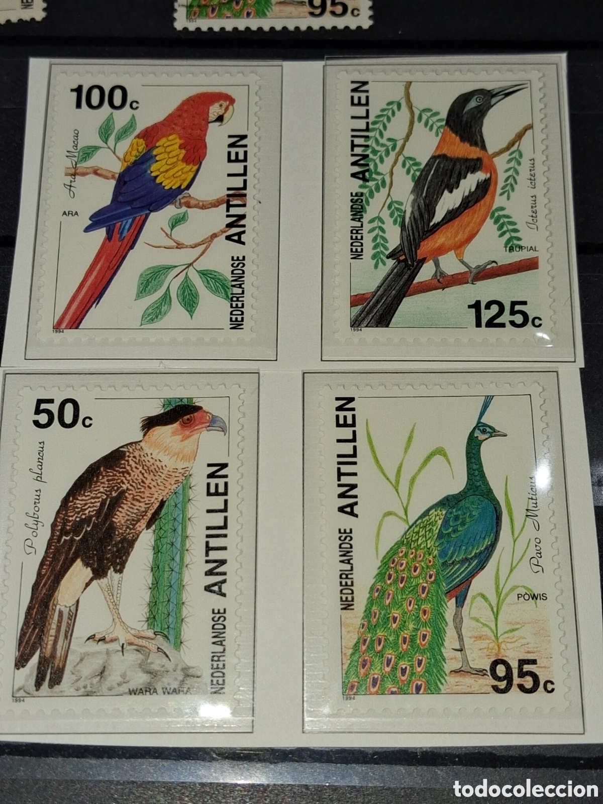 Sellos: Sello Antillas Holandesas nuevo 1993. Aves. P&aacute;jaros. Fauna. Guacamayo. Pavo real. Naturaleza.