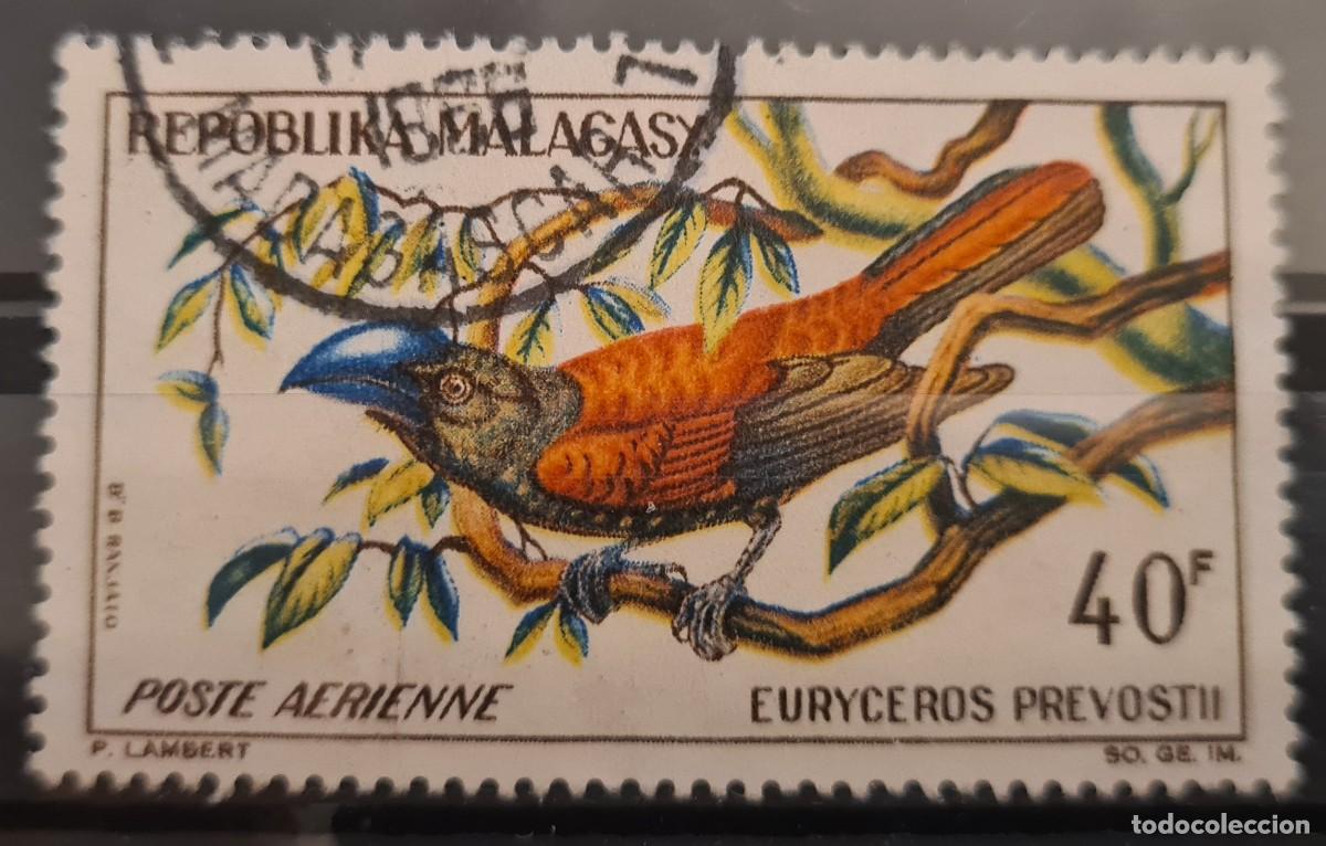 Sellos: Sello a&eacute;reo usado de Madagascar 1963. Aves: el vanga de casco