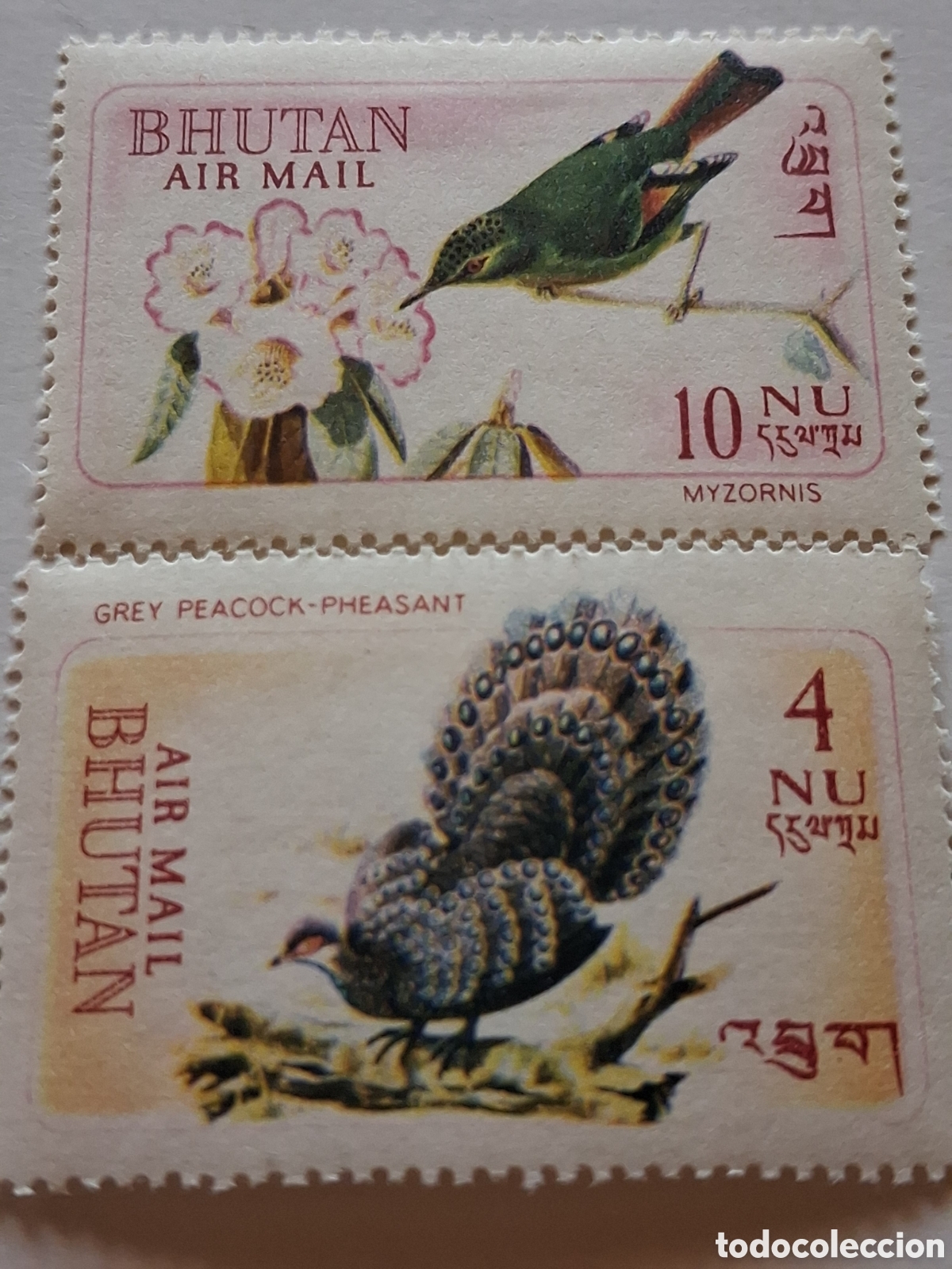 Francobolli: Sello (2/5v) Bhut&aacute;n nuevo/bgr 1969. Aves. Pajaros. Fauna. Flores. Fais&aacute;n. Timali. Naturaleza.