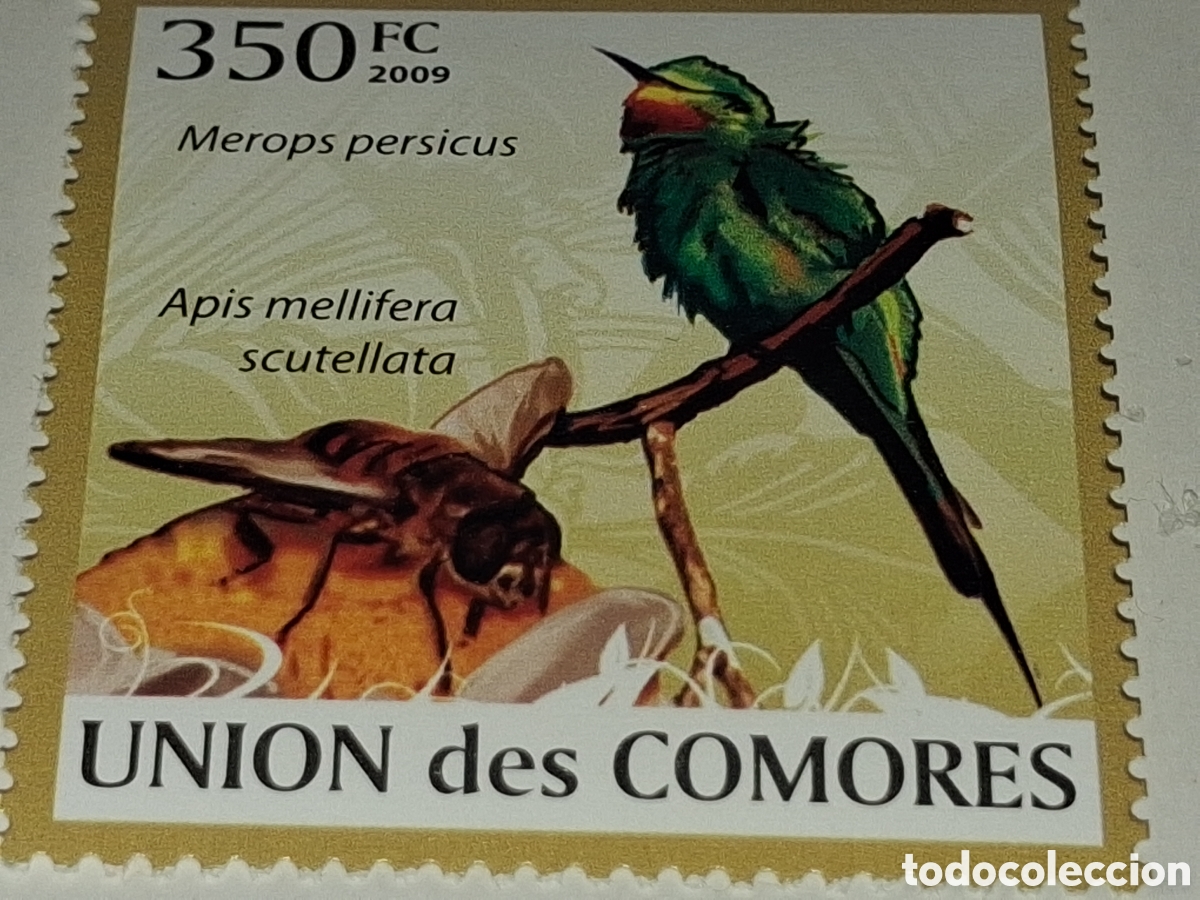 Sellos: Sello Comoras nuevo 2009. Abejaruco Persa. Aves. Pajaro. Animales. Abeja. Avispa. Flores. Fauna.