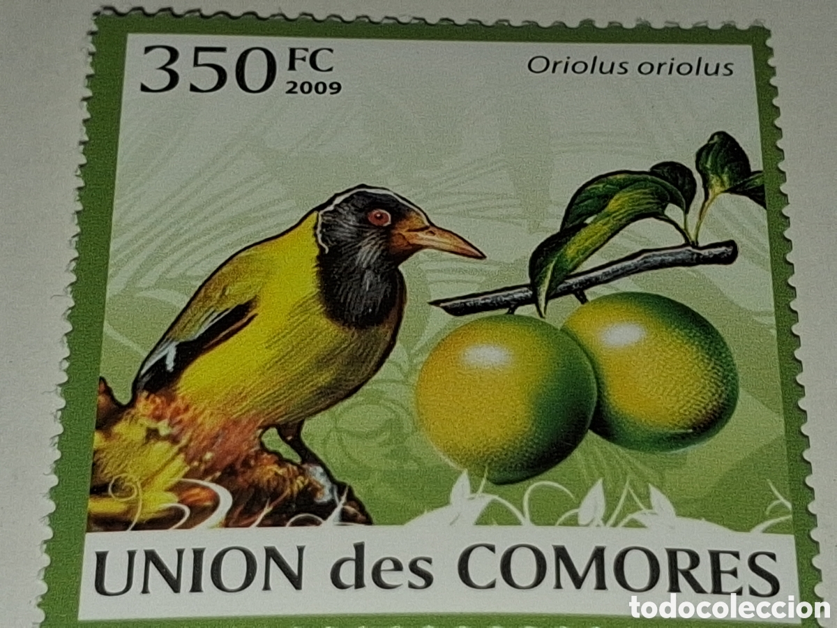 Sellos: Sello Comoras nuevo 2009. Oropendola europea. Aves. Pajaro. Semilla. Fruta. Flora. Fauna. Naturaleza