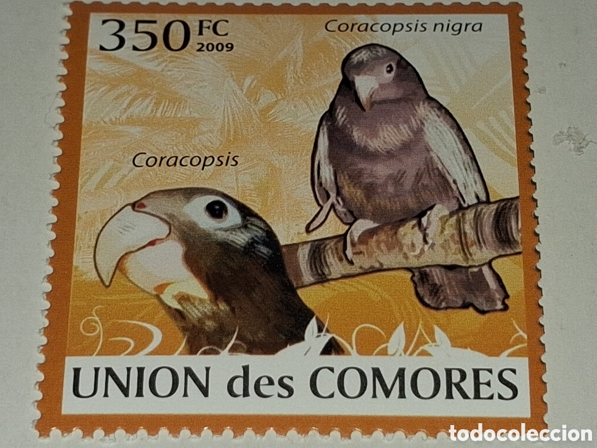 Sellos: Sello Comoras nuevo 2009. Aves. Pajaros. Caracopsi nigra. Agaporni. Animales. Fauna.