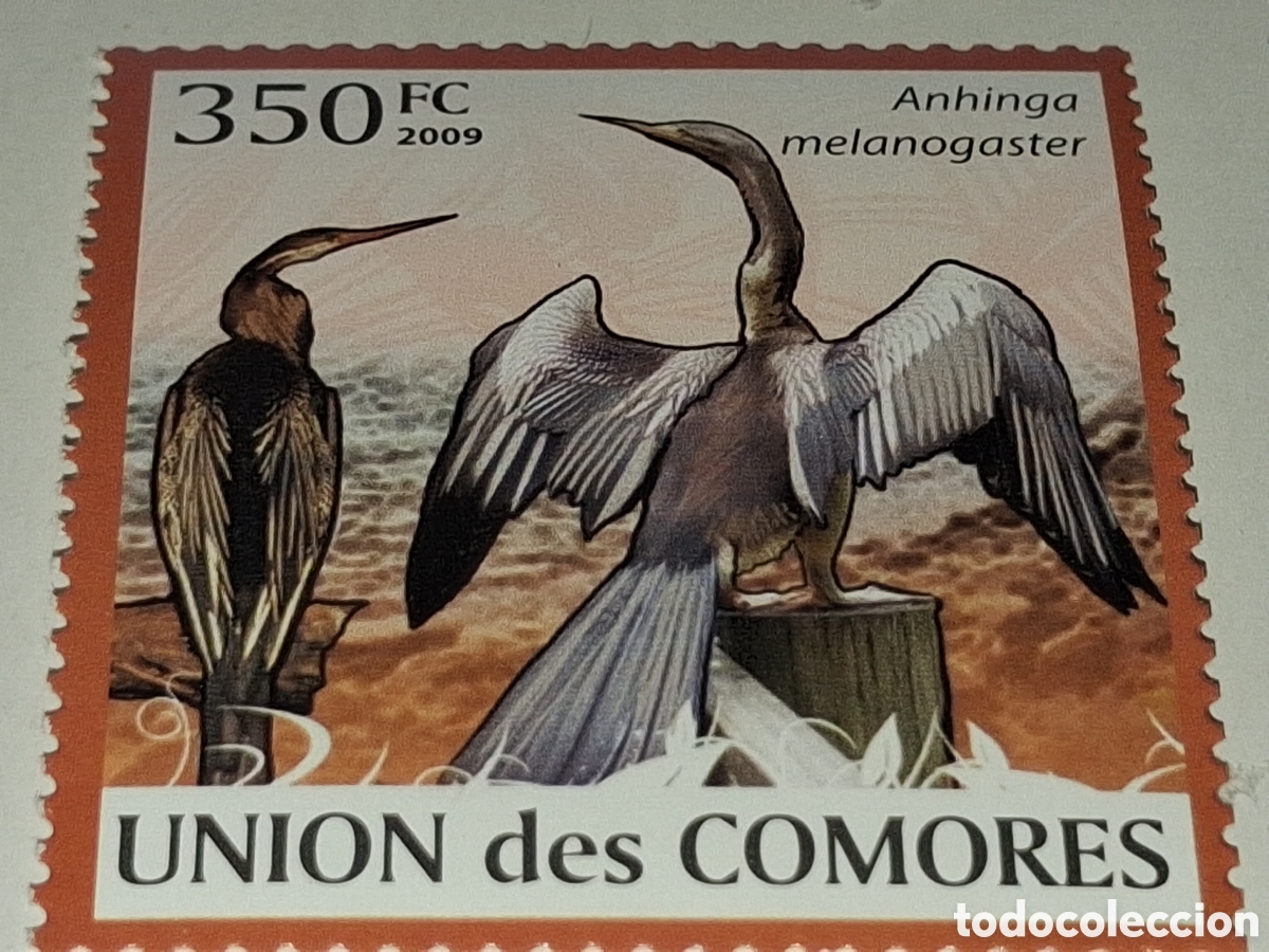 Sellos: Sello Comoras nuevo 2009. Aves. Pajaro serpiente. Fauna. Anhinga. Naturaleza.