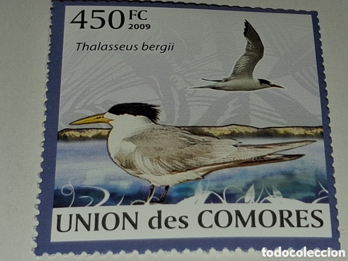 Sellos: Sello Comoras nuevo 2009. Aves. P&aacute;jaros. Fauna. Naturaleza. Garran crestado. Thalasseus