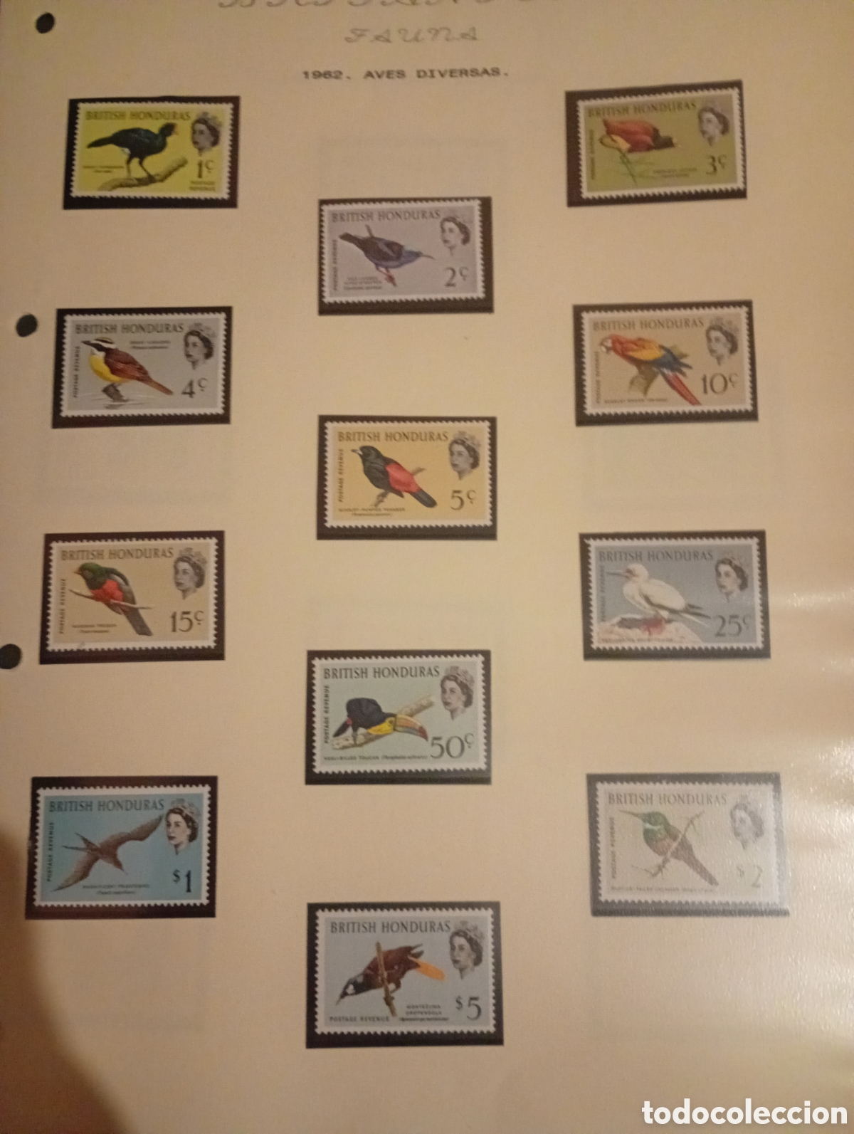 Sellos: BRITISH HONDURAS 1962 Serie completa Ivert 170 181 FAUNA - AVES