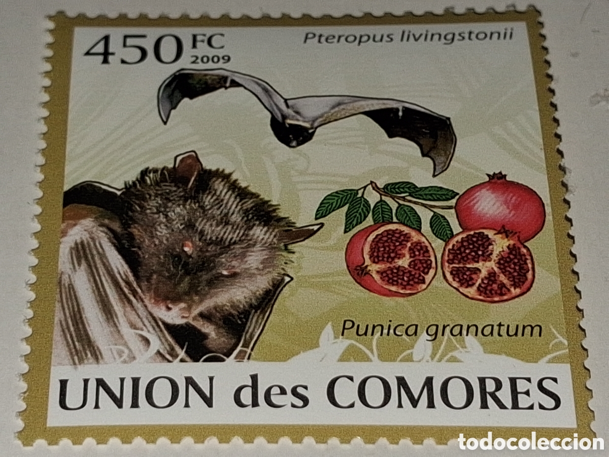 Sellos: Sello Comoras nuevo 2009. Murcielago frugivoro. Mangrana. Fruta. Flora. Fauna. Aves. Marsupial. Mami