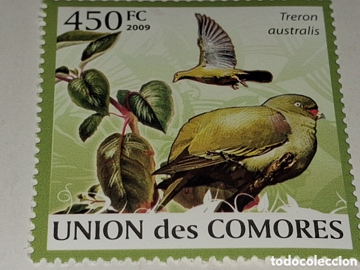 Sellos: Sello Comoras nuevo 2009. Paloma verde Madagascar. Aves. P&aacute;jaros. Fauna. Plantas. Flora.