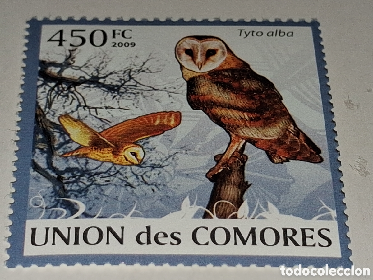 Sellos: Sello Comoras nuevo 2009. Lechuza com&uacute;n. B&uacute;ho. Aves. Depredador. P&aacute;jaros. Fauna. Rapaces.