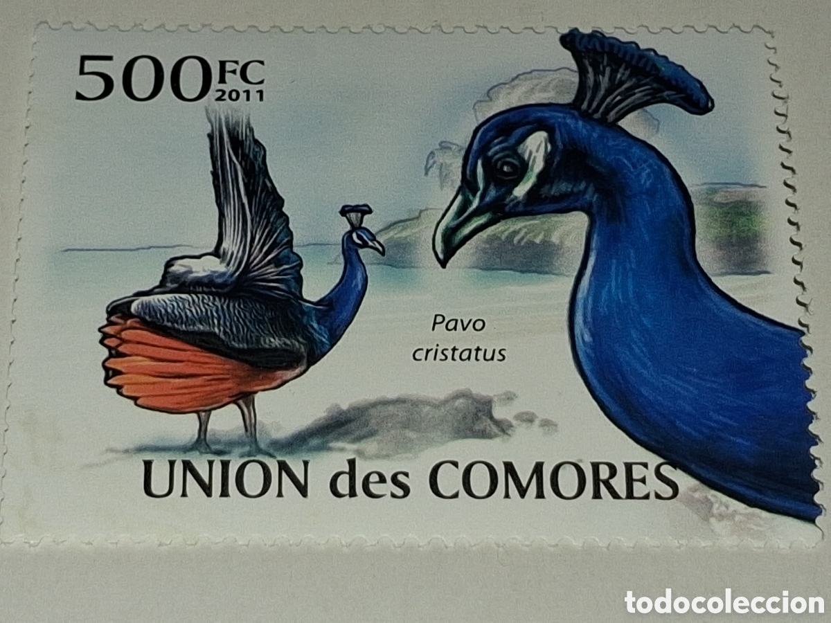 Sellos: Sello Comoras nuevo 2011. Pavo real. Animales. Aves. Pajaros. Fauna.
