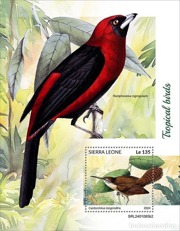 Selos: Sierra Leona 2024 Mi. Bl. 3169 bloque aves tropicales