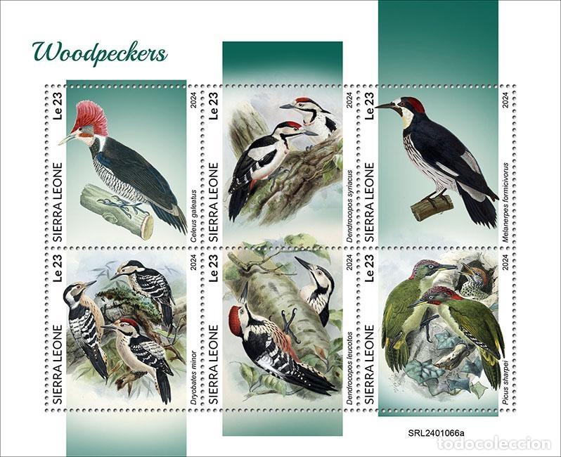 Selos: Sierra Leona 2024 Mi. 18204-18209 hoja picos aves