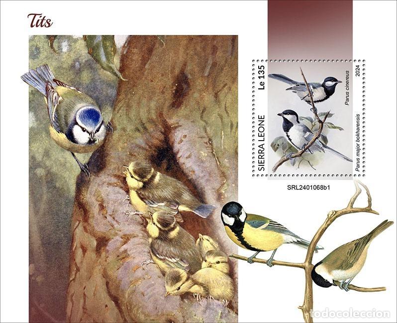 Selos: Sierra Leona 2024 Mi. Bl. 3174 bloque carboneros p&aacute;jaros