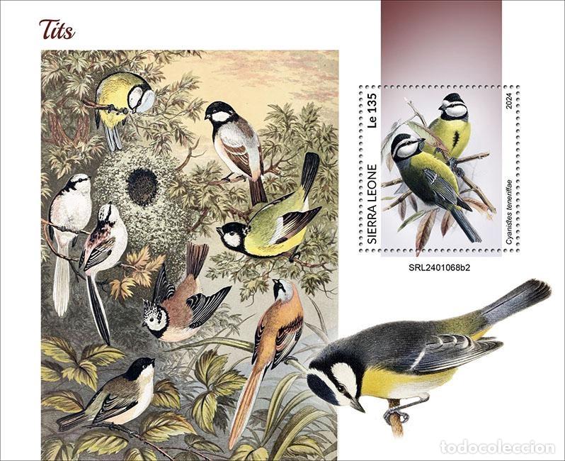 Selos: Sierra Leona 2024 Mi. Bl. 3175 bloque carboneros p&aacute;jaros