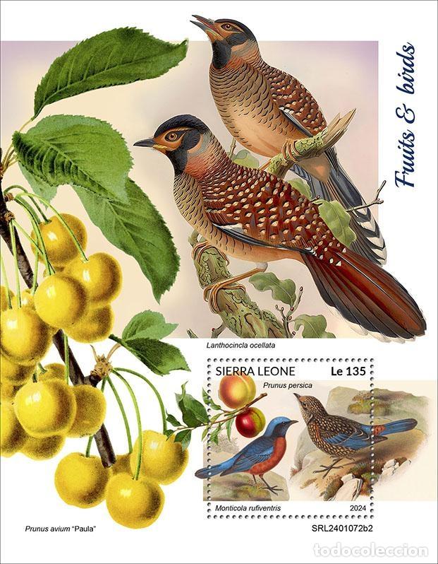 Selos: Sierra Leona 2024 Mi. Bl. 3137 bloque frutas aves