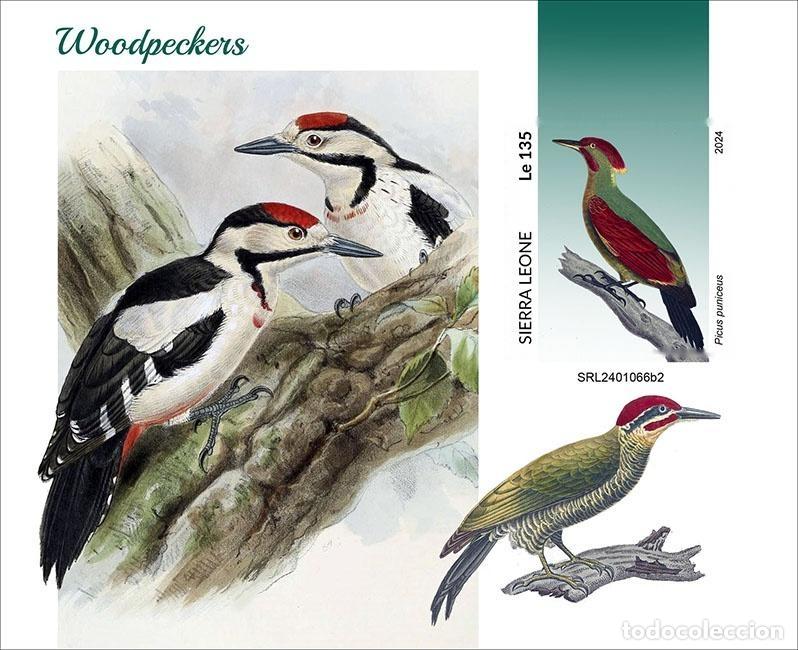 Sellos: Sierra Leona 2024 Mi. Bl. 3171 bloque sin dentar p&aacute;jaros aves