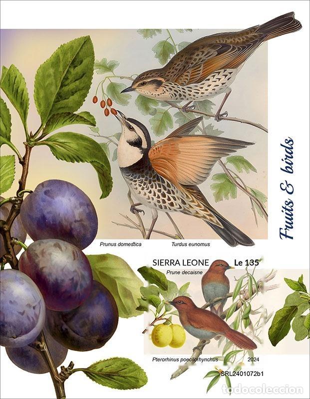Sellos: Sierra Leona 2024 Mi. Bl. 3136 bloque sin perforar frutas aves