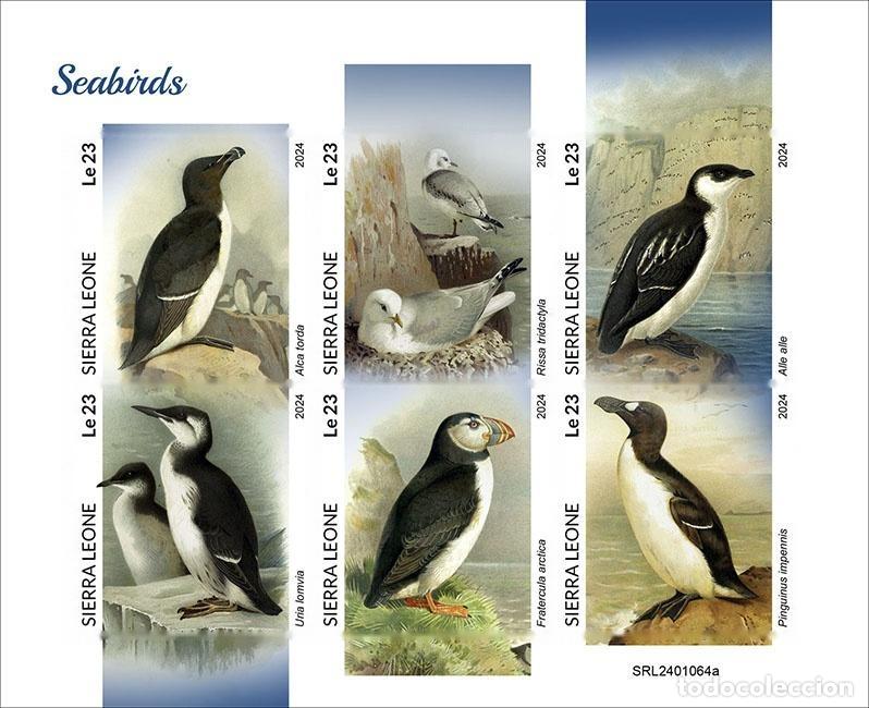 Timbres: Sierra Leona 2024 Mi. 18188-18193 hoja sin perforar aves marinas frailecillos