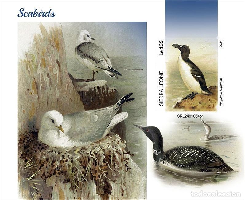 Timbres: Sierra Leona 2024 Mi. Bl. 3166 bloque sin dentar aves marinas frailecillos