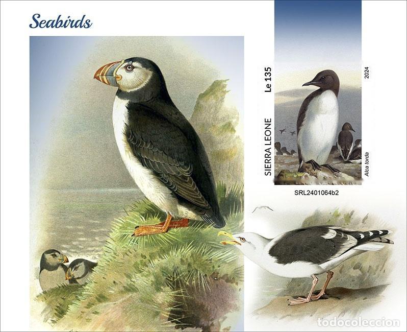 Timbres: Sierra Leona 2024 Mi. Bl. 3167 bloque sin perforar aves marinas frailecillos