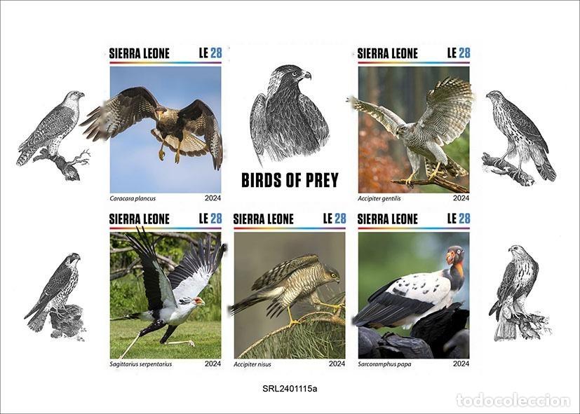 Sellos: Sierra Leona 2024 Mi. 18600-18604 hoja sin dentar rapaces aves de presa
