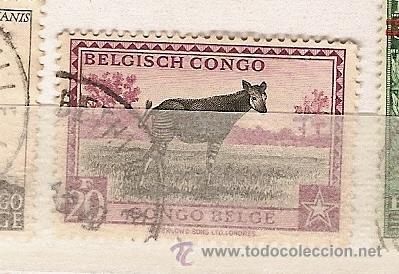 Sellos: B&eacute;lgica & Congo  Ultramar (12) - Foto 1
