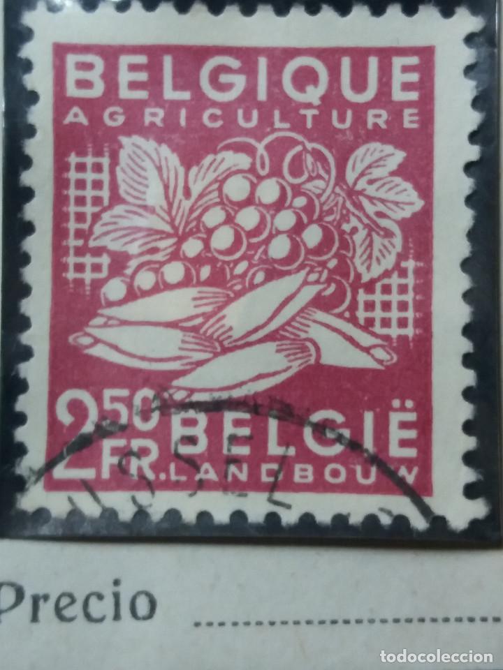 Selos: sello, postes Belgica, 2,50 fr, a&ntilde;o 1948, no usado