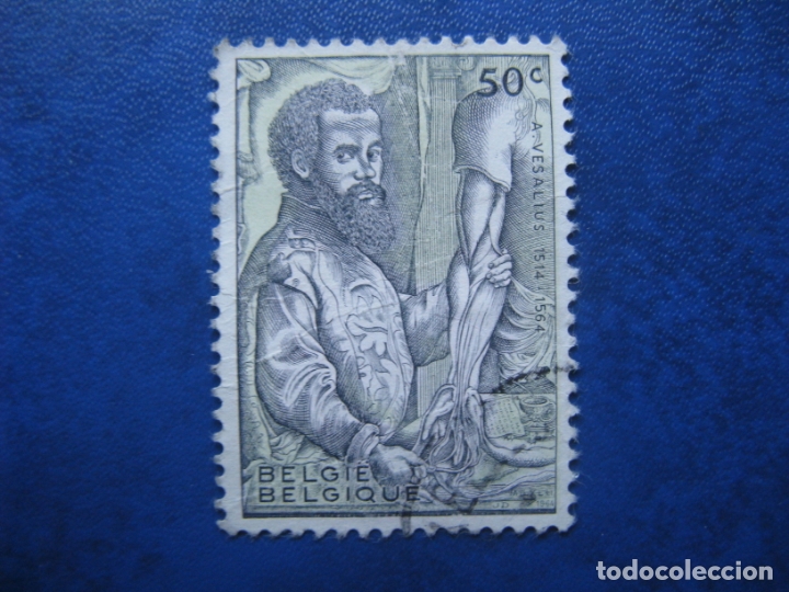 Selos: -belgica 1964, andre vesale, Yvert 1281