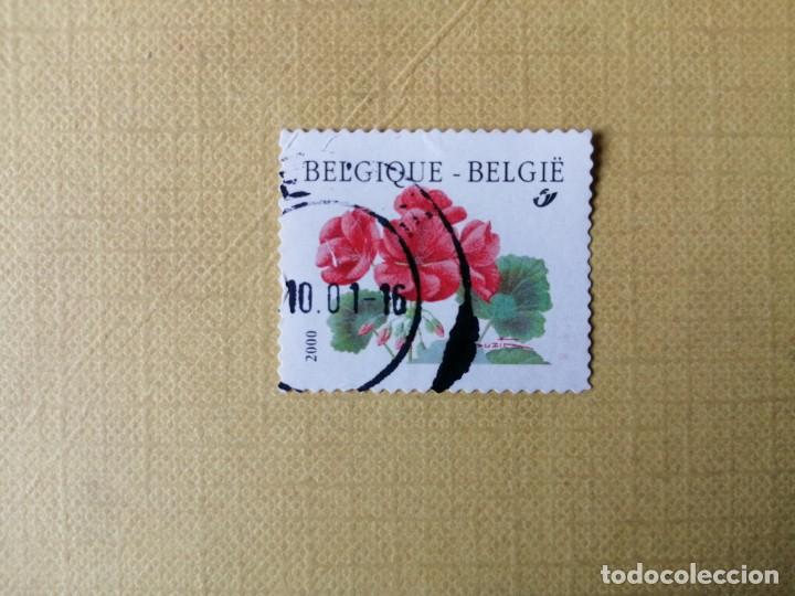 Stamps: 2000 - FLORA
