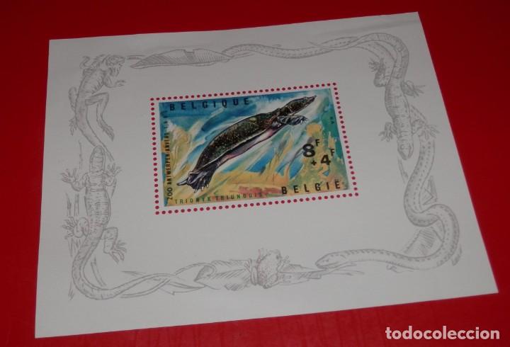 Sellos: SELLO BELGICA - Foto 1