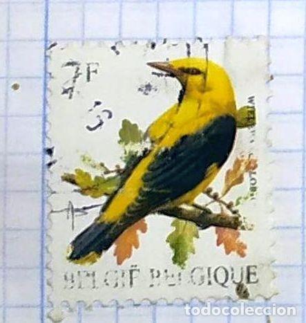 Stamps: BELGICA BELGIQUE SELLO PAJARO CANARIO 01