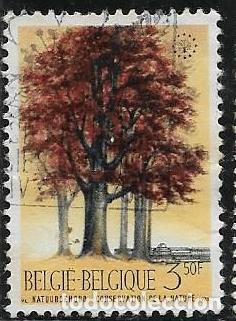 Sellos: B&Eacute;LGICA YVERT 1526 - Foto 1