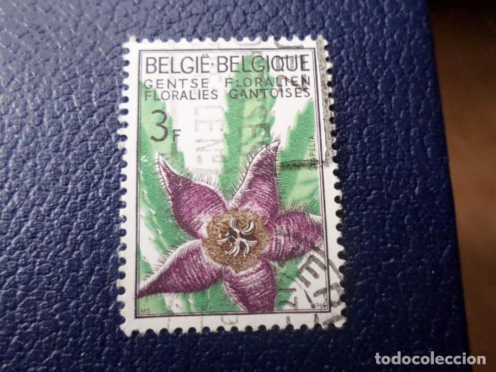 Briefmarken: .belgica, 1965, flores, stapelia, Yvert 1317