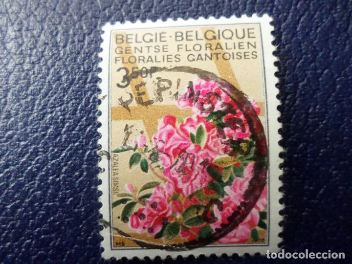 Sellos: .belgica, 1970, flores, azalea, Yvert 1525