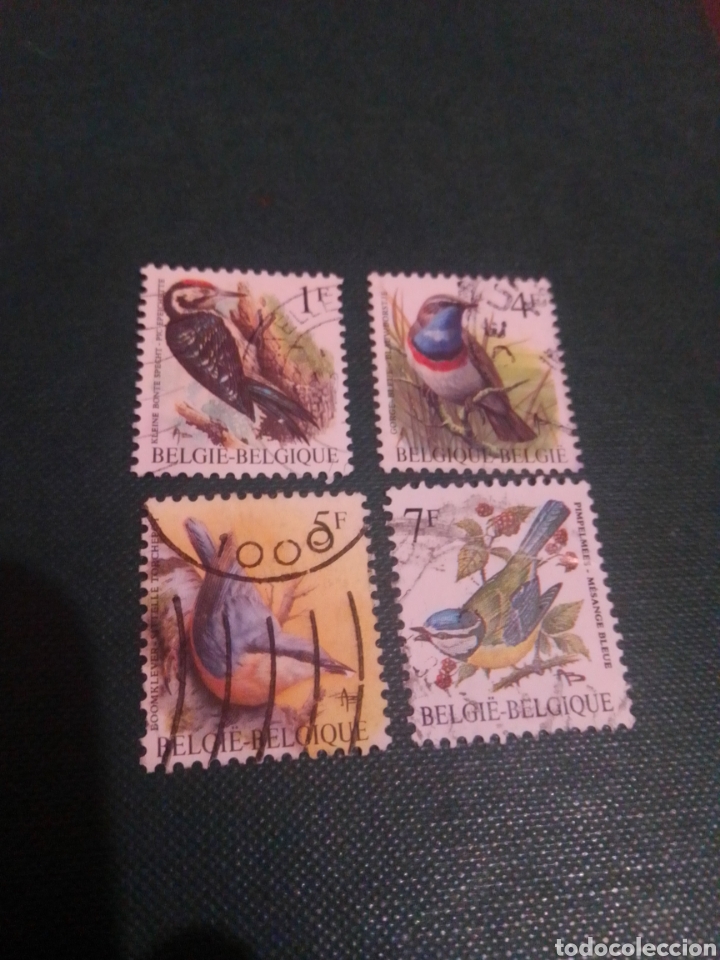 Sellos: B&eacute;lgica p&aacute;jaros - Foto 1