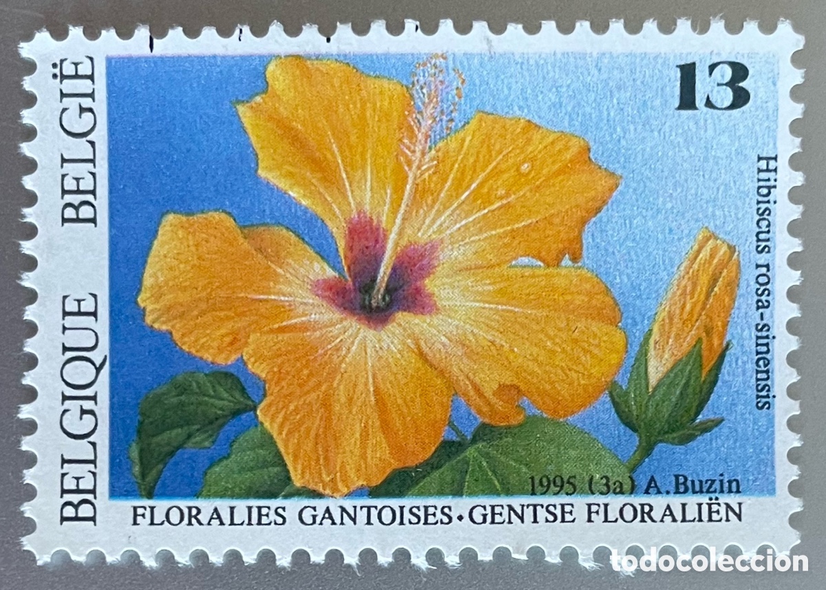 Sellos: B&eacute;lgica. Flora. Hibisco. 1995 - Foto 1
