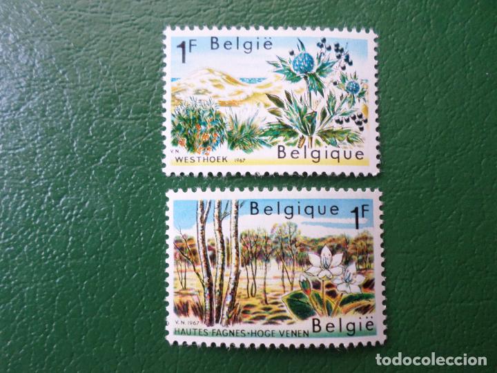 Selos: :belgica, 1967, proteccion de la naturaleza, Yvert 1408/09