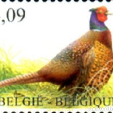 Sellos: 252541 MNH BELGICA 2010 AVE